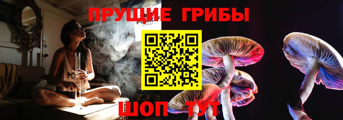 Невинномысск  Галлюциногенные грибы Magic Shrooms  Псилоцибиновые грибы прущие грибы  Вход с VPN 